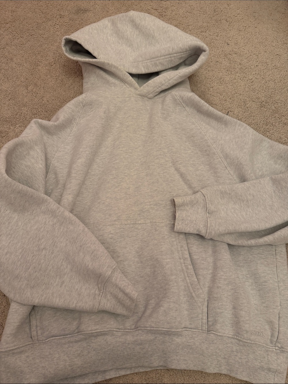 Aritzia Light Gray Men's Hooded Sweatshirt